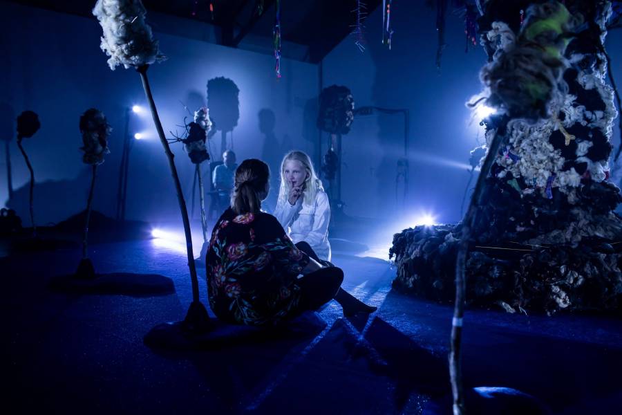 © Annette Kamerich & Peter Budwilowitz